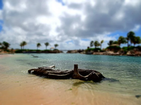 Scenery Caribbean Beach — Stockfoto
