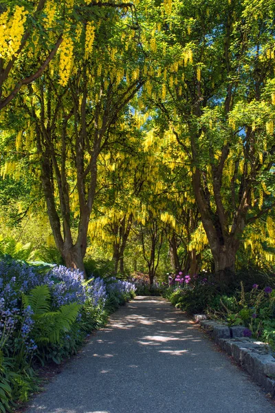 muhteşem botanik bahçesi
