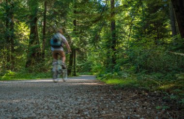 Bisiklete binmek, orman