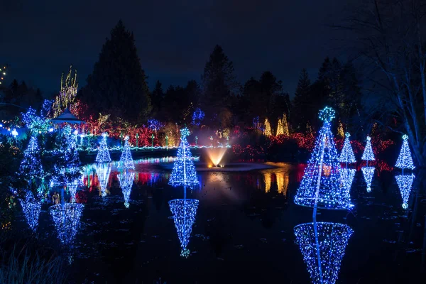 Christimas Lights Lake — Stock Photo, Image