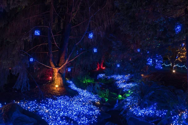 Floresta Iluminada Com Decoração Natal — Fotografia de Stock