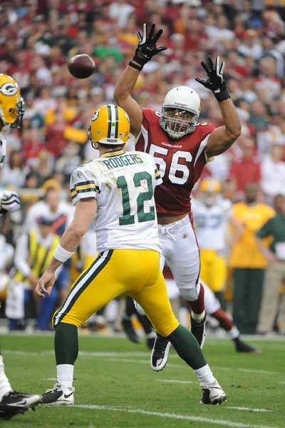 Chike Okeafor Linebacker para los Cardenales de Arizona . — Foto de Stock