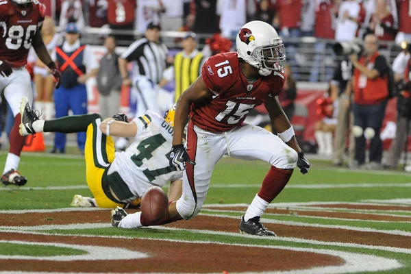 Steve Breaston anota en el cuarto trimestre en el Juego de NFC Wild Card de hoy contra los Green Bay Packers . — Foto de Stock