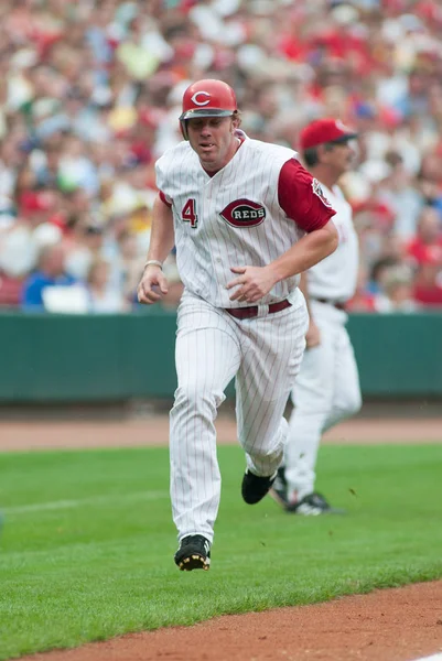 Cincinnati Reds Ütő Adam Dunn Denevérek Ellen Chicago Cubs Június — Stock Fotó