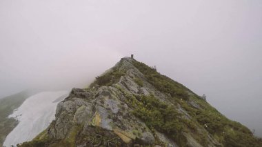 Her canlı organizmanın doğa ve insan hakkında yaban hayatı söz konusu.