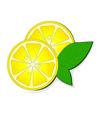 taze limon yaprakları ile. vektör çizim. 