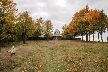Sonbahar park.with leaves.castle.f bir buket, küçük kız