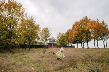 Sonbahar park.with leaves.castle.f bir buket, küçük kız