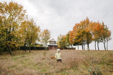 Sonbahar park.with leaves.castle.f bir buket, küçük kız