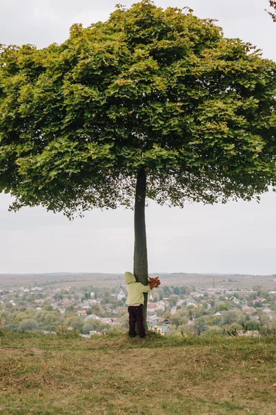 Niña en el parque de otoño. árbol abrazador — Foto de Stock