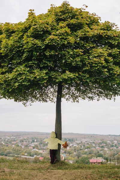 Niña en el parque de otoño. árbol abrazador — Foto de Stock