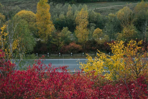 Bella vista della strada da un'altezza. autunno — Foto Stock