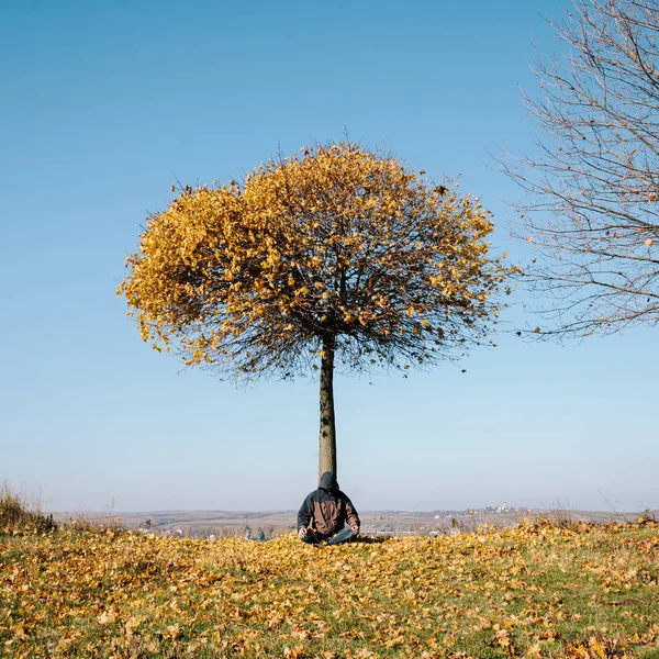 Человек медитирует под осенним деревом — стоковое фото