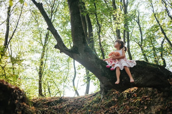 Petite fille dans une robe avec poupée assis sur un arbre dans la forêt — Photo