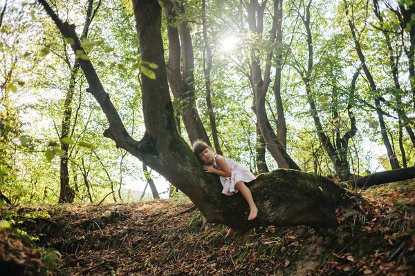 Niño abrazó un árbol. escuchar el árbol — Foto de Stock