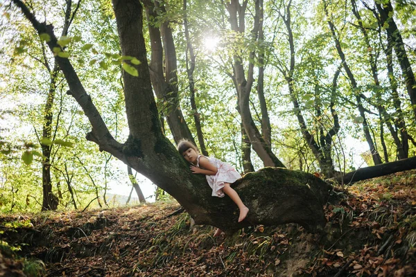 Niño abrazó un árbol. escuchar a los árboles — Foto de Stock