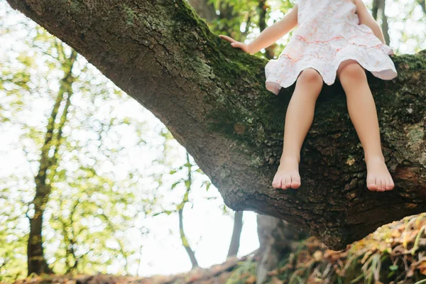 bir ağaç üzerinde oturan kız. ayak. Ayak