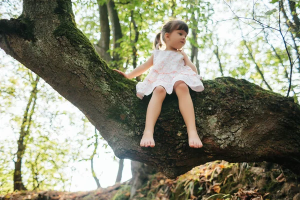 A lány ül egy fa. láb. Láb — Stock Fotó