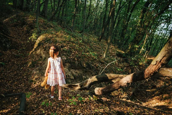 Девушка гуляет по лесу — стоковое фото