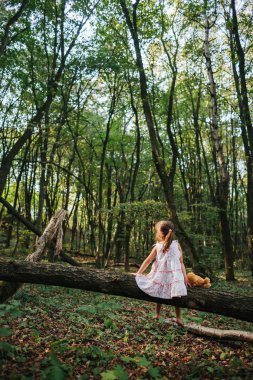 küçük kız ayısının ormanın içinde oynamaya. oturan kız 