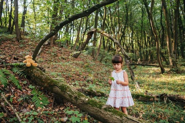 Niña jugando con su oso en el bosque — Foto de Stock