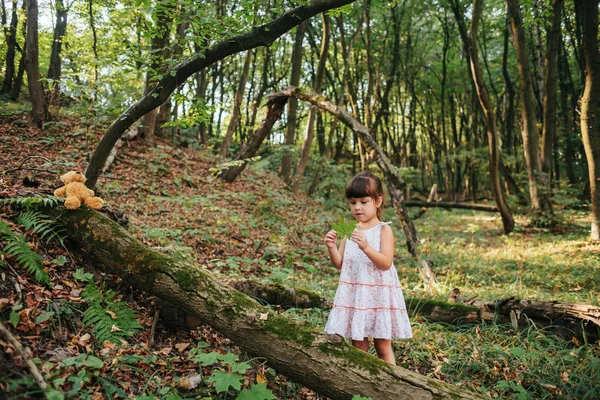 Маленькая девочка играет со своим медведем в лесу — стоковое фото