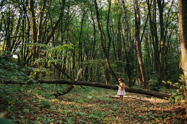 Девушка стоит в лесу портрет девушки в лесу. Медведь — стоковое фото