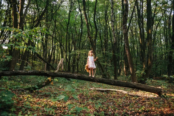 Девушка стоит в лесу портрет девушки в лесу. Медведь — стоковое фото