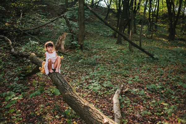Niña jugando con su oso en el bosque. chica sentada en — Foto de Stock