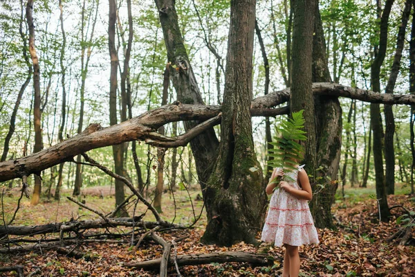 Niña en el bosque con helechos — Foto de Stock