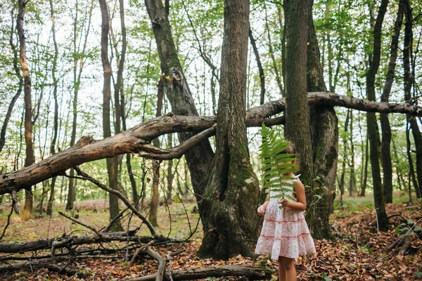 Niña en el bosque con helechos — Foto de Stock