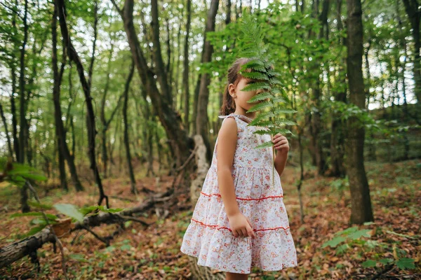 Маленькая девочка в лесу с папоротниками — стоковое фото