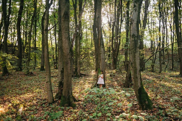 Niña en el bosque con helechos — Foto de Stock