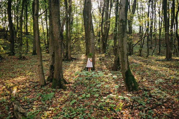 Niña de pie en el bosque con helechos — Foto de Stock