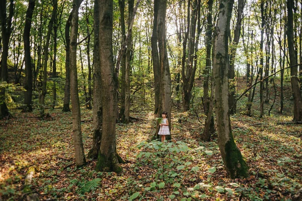 Niña en el bosque con helechos — Foto de Stock