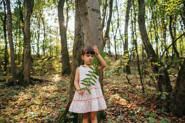 Petite fille debout dans la forêt avec des fougères — Photo
