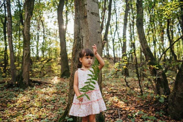 Petite fille debout dans la forêt avec des fougères — Photo