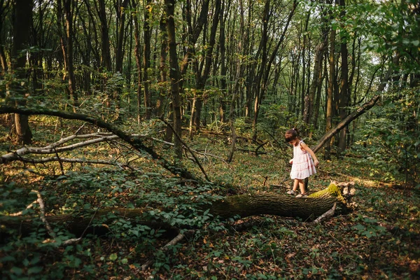 küçük kız ormanda oynama 