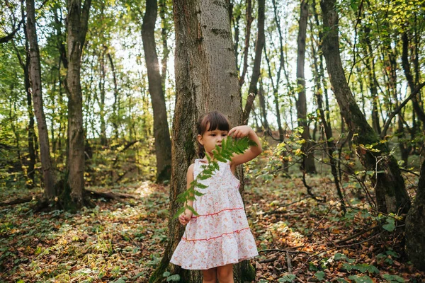 Маленькая девочка, стоящая в лесу с папоротниками — стоковое фото