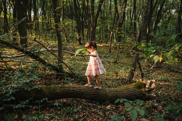 Niña jugando en el bosque — Foto de Stock