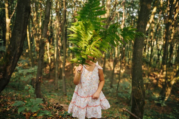 Bambina in piedi nella foresta con le felci — Foto Stock