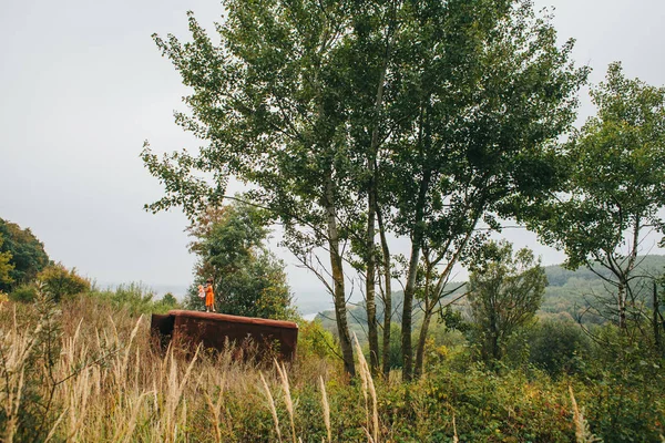 bir bebek ile küçük kız ormanda eski römork üzerinde duruyor