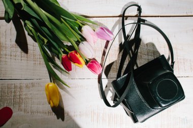 Lale ve kamera üzerinde beyaz ahşap arka plan yukarıdan yalan