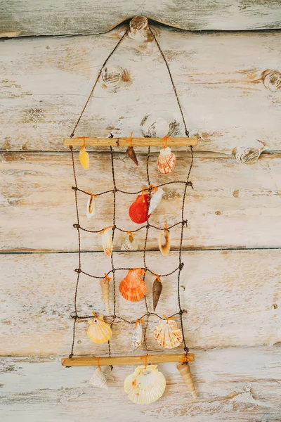 Deniz kabukları ahşap arka plan üzerinde süspansiyon. Vintage şekillendirme