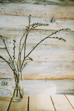 Söğüt dalları bir şişe ile eski ahşap arka plan 