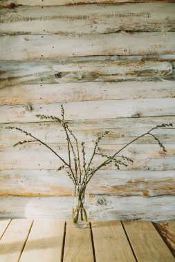 Söğüt dalları bir şişe ile eski ahşap arka plan 