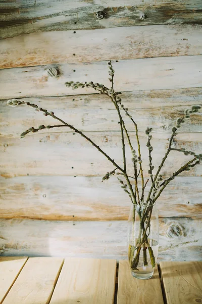 Старый деревянный фон с ивовыми ветвями в бутылке — стоковое фото