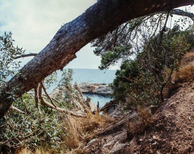 İspanya'da güzel manzara. Yaz. Seyahat. 