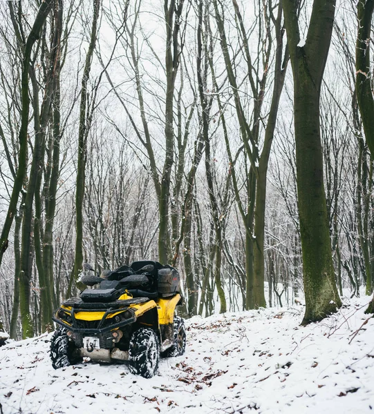 Quad bike în pădure enduro.winter acțiune . — Fotografie, imagine de stoc