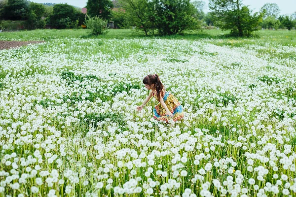 Маленькая Девочка Играет Одуванчиками Поле Spring Time — стоковое фото